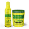 Kit Shampoo e Creme de Pentear Abacachos Forever Liss